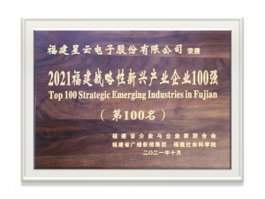 2021福建省战略性新兴产业企业100强